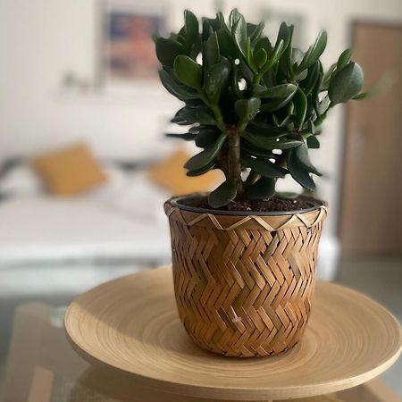 Xenia Apartments - Fashion Week Studio Near Navigli ميلان المظهر الخارجي الصورة