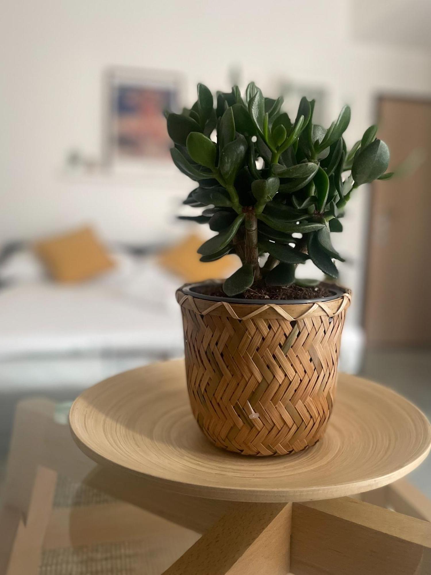 Xenia Apartments - Fashion Week Studio Near Navigli ميلان المظهر الخارجي الصورة
